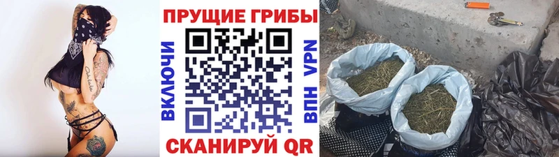 Купить где  Южа  Галлюциногенные грибы мухоморы 